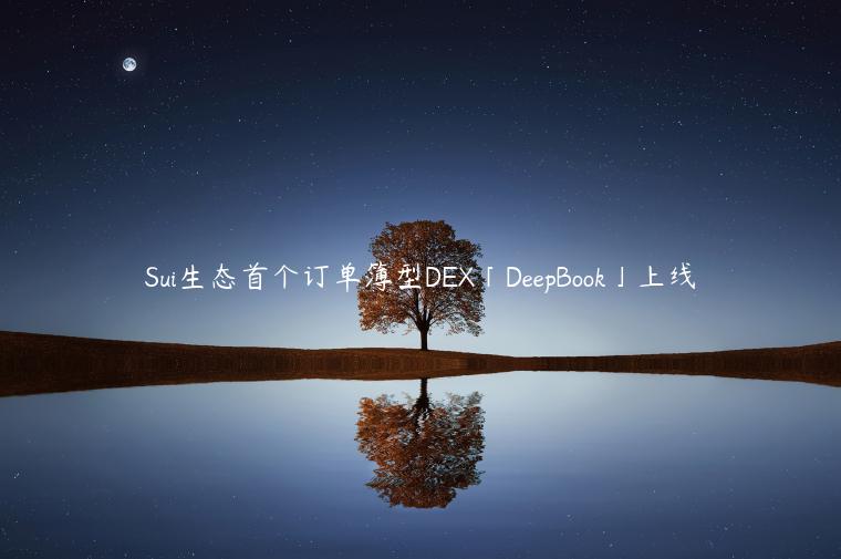 Sui生态首个订单簿型DEX「DeepBook」上线