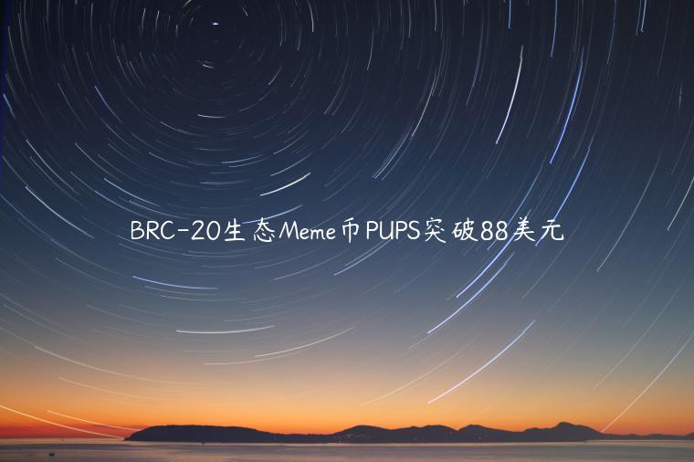 BRC-20生态Meme币PUPS突破88美元