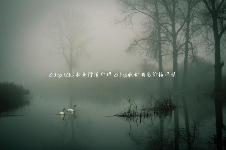 Zilliqa (ZIL)未来行情介绍 Zilliqa最新消息价格详情