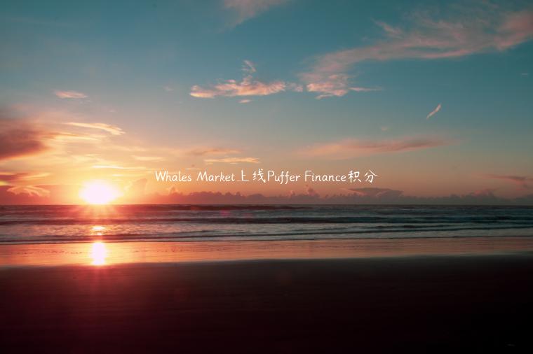 Whales Market上线Puffer Finance积分