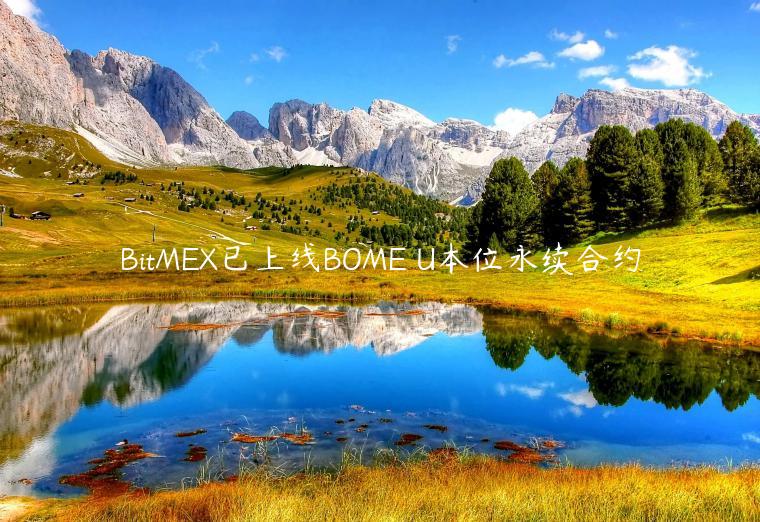 BitMEX已上线BOME U本位永续合约