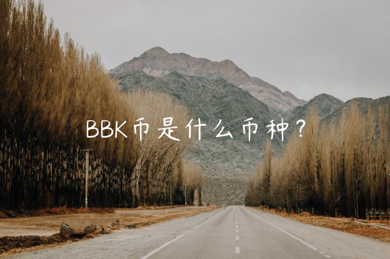 BBK币是什么币种？