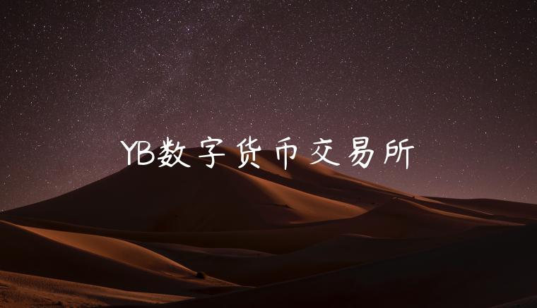 YB数字货币交易所