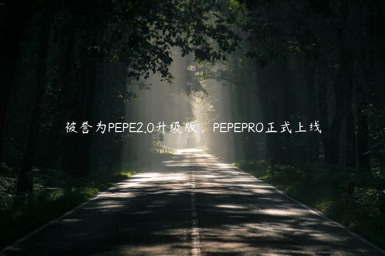 被誉为PEPE2.0升级版，PEPEPRO正式上线