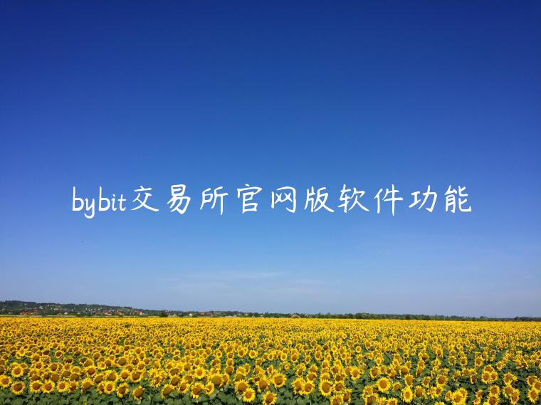 bybit交易所官网版软件功能