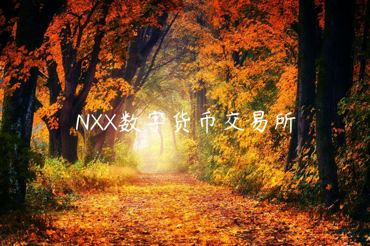 NXX数字货币交易所