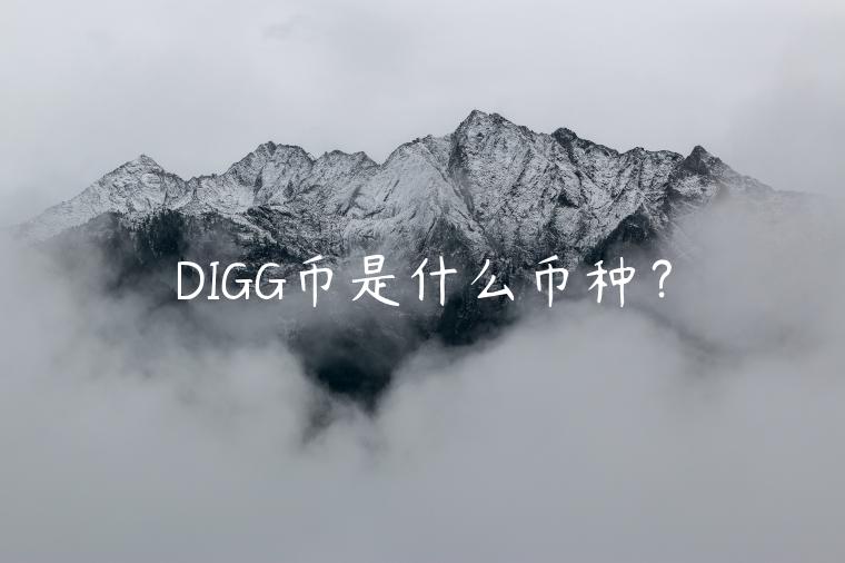 DIGG币是什么币种？
