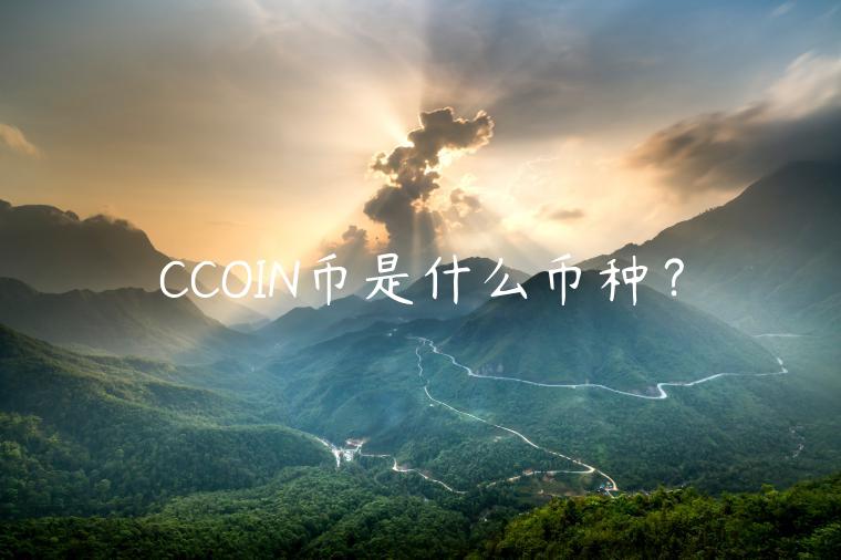 CCOIN币是什么币种？