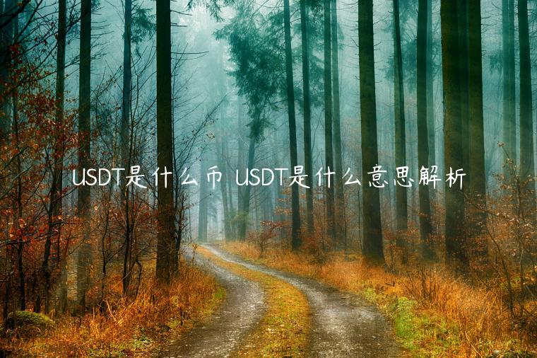 USDT是什么币 USDT是什么意思解析
