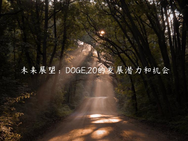 未来展望：DOGE.20的发展潜力和机会