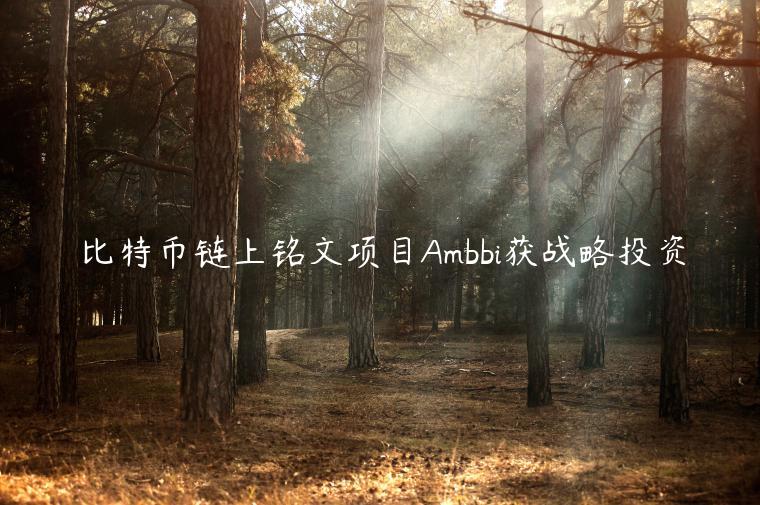 比特币链上铭文项目Ambbi获战略投资