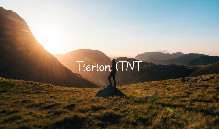 Tierion (TNT