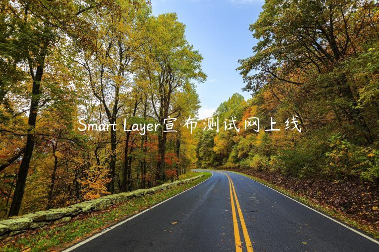 Smart Layer宣布测试网上线