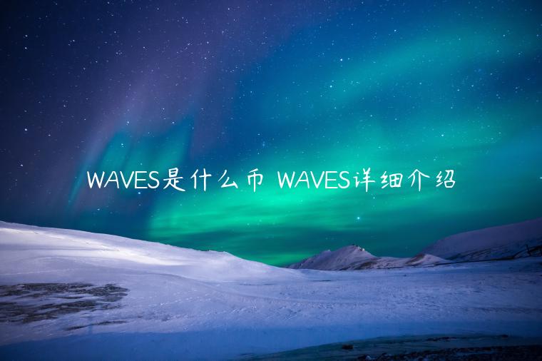 WAVES是什么币 WAVES详细介绍